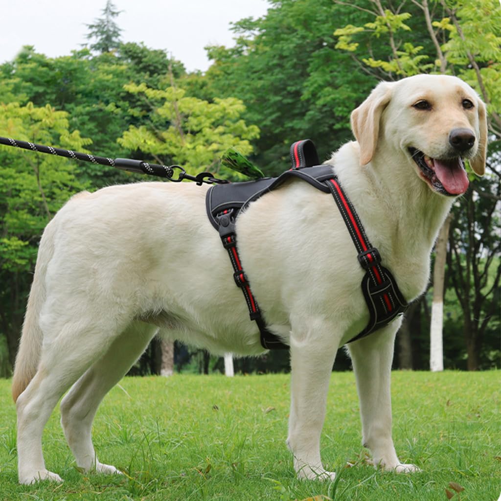 Qpets Dog Harness, Dog Vest Harness with Utility Zipper Pouch Outdoor Oxford Cloth Dog Vest Harness with Handle & D Ring, 360° Safety Reflective Strip Adjustable Harness for Dog (14-22.5kg, L) Qpets Dog Harness, Dog Vest Harness with Utility Zipper Pouch Outdoor Oxford Cloth Dog Vest Harness with Handle & D Ring, 360° Safety Reflective Strip Adjustable Harness for Dog (14-22.5kg, L)